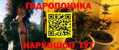 2c-b Будённовск