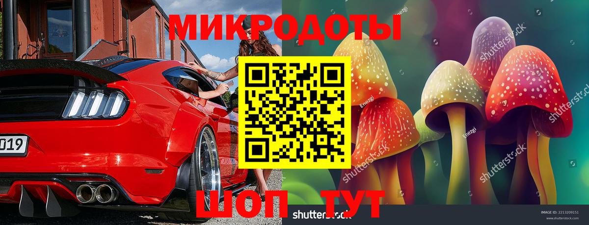 Фурманов  Галлюциногенные грибы MAGIC MUSHROOMS  Вход с VPN 